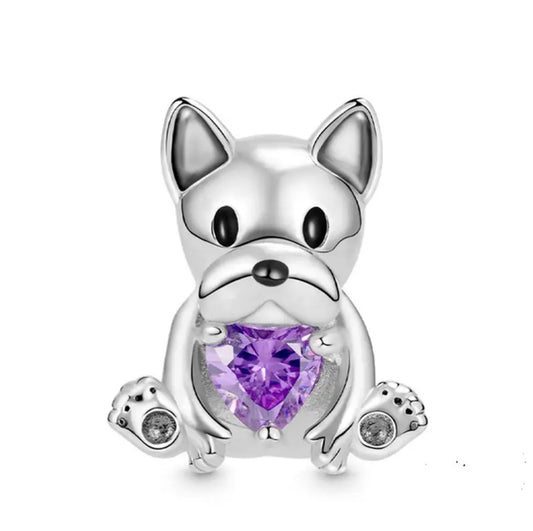 Dog French amatista