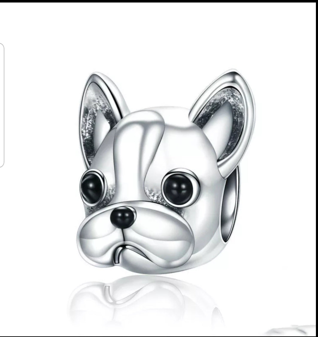 Bull Dog Francés