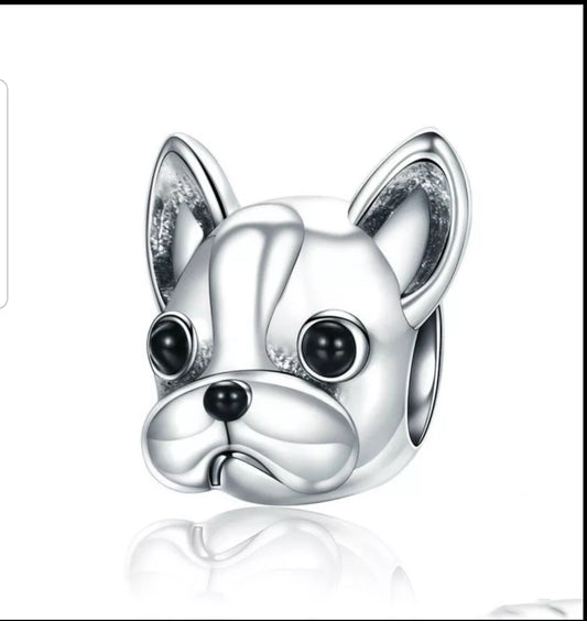 Bull Dog Francés